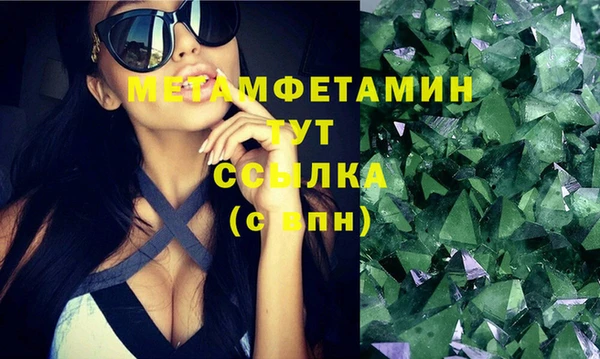 ПСИЛОЦИБИНОВЫЕ ГРИБЫ Вязники