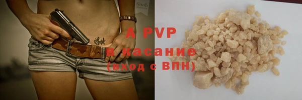 ПСИЛОЦИБИНОВЫЕ ГРИБЫ Вязники