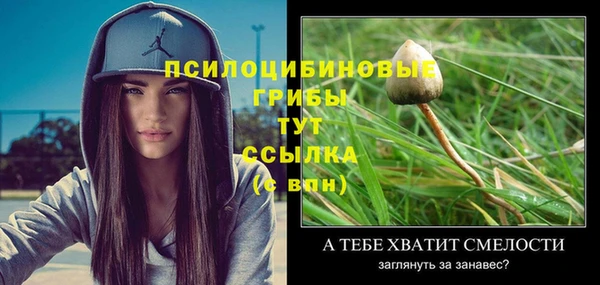 ECSTASY Гатчина