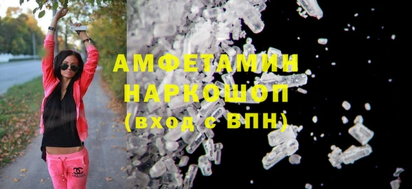 ПСИЛОЦИБИНОВЫЕ ГРИБЫ Вязники