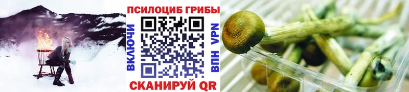 маркетплейс наркотические препараты  Заводоуковск  Псилоцибиновые грибы GOLDEN TEACHER 